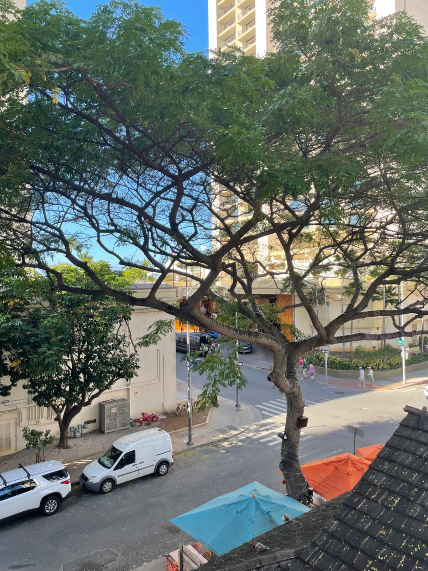 Apartamento Stylish Near Kuhio Honolulu
